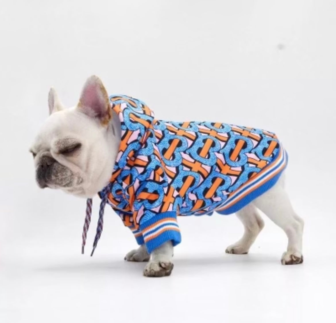 Irresistible pup clothing